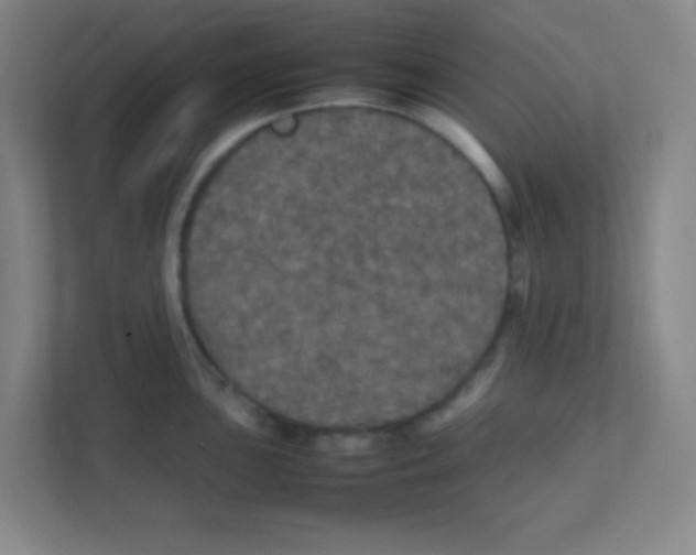 X0000111471051200908101111