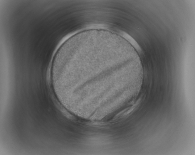 X0000111471052200908101111