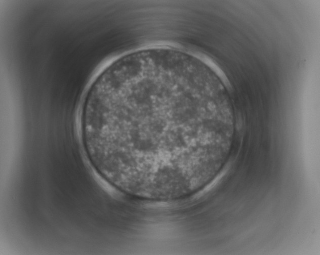 X0000111471054200908101111