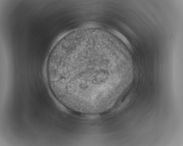 X0000111471055200908101111