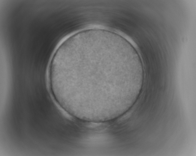 X0000111471056200908101111