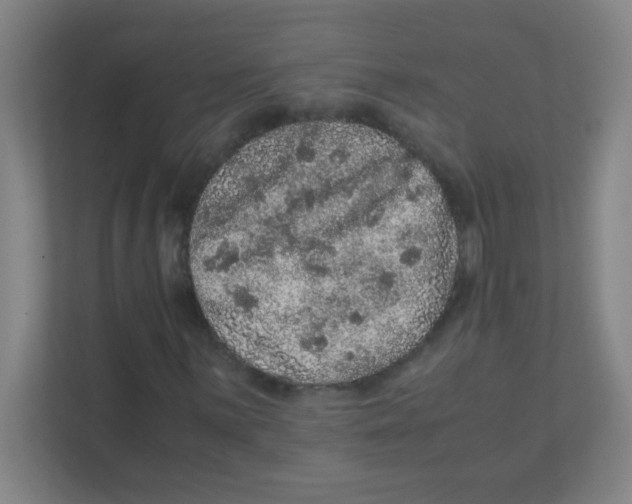 X0000111471059200908101110