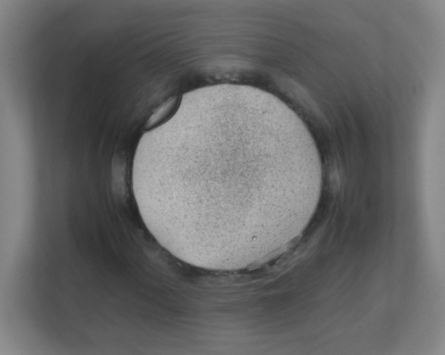 X0000111471060200908101110