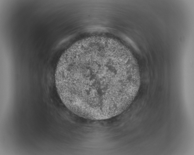 X0000111471063200908101110