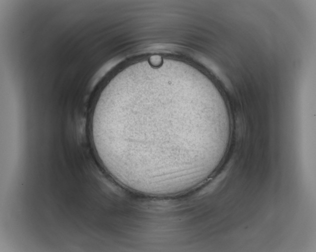 X0000111471066200908101110