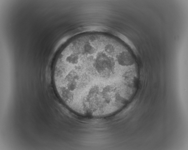 X0000111471067200908101110