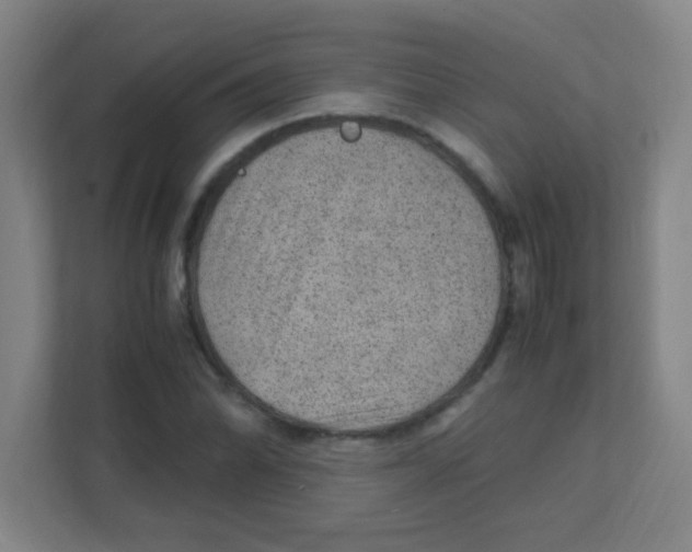 X0000111471070200908101110