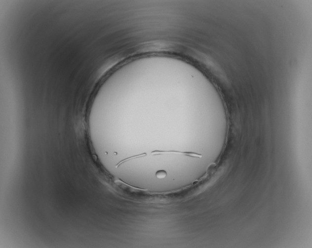 X0000111471073200908101110