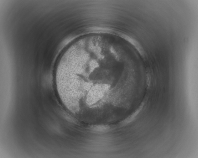 X0000111471074200908101110