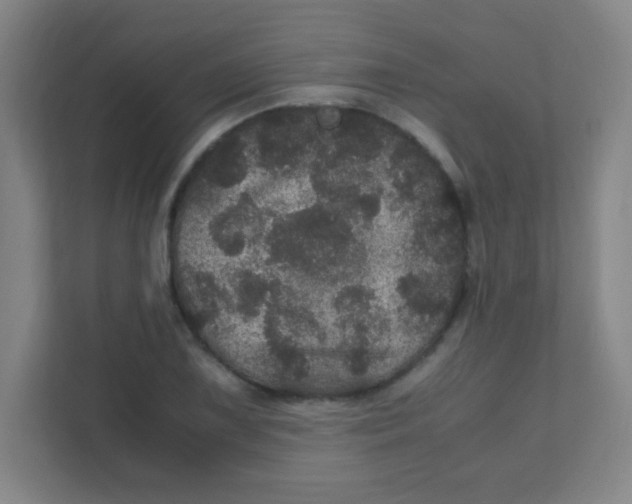 X0000111471075200908101110