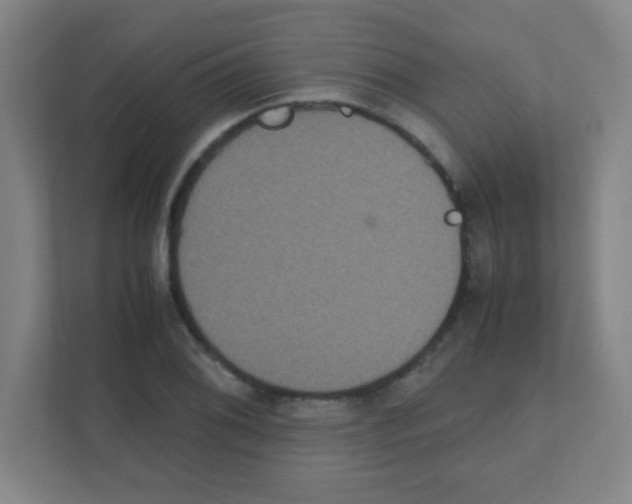 X0000111471076200908101110