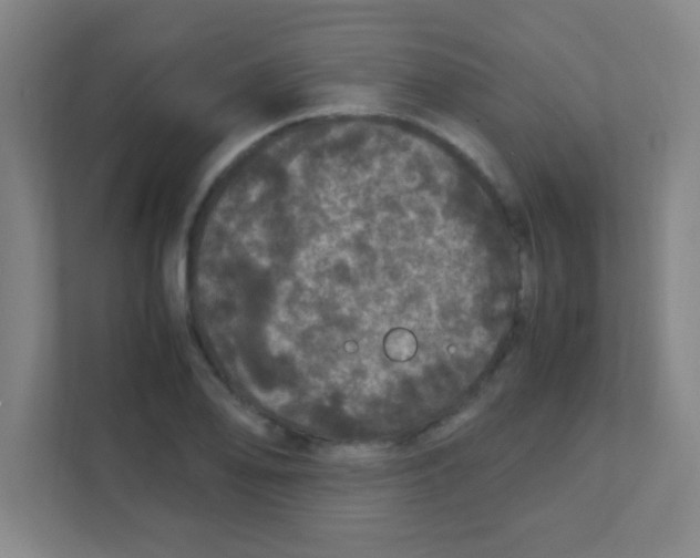 X0000111471078200908101110