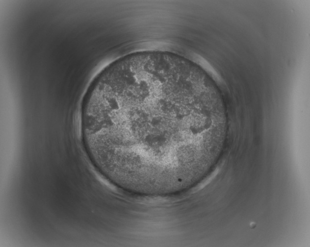 X0000111471079200908101110