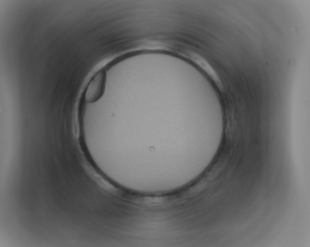 X0000111471080200908101110