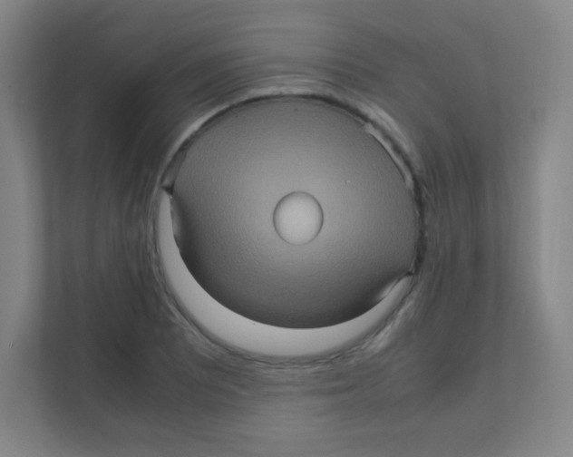 X0000111471081200908101110