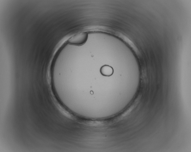 X0000111471082200908101110