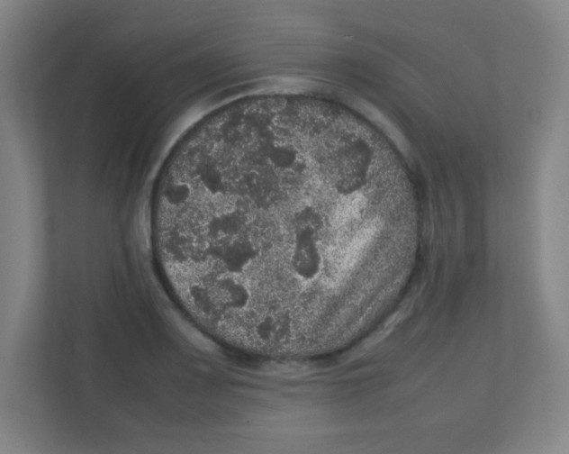 X0000111471083200908101110