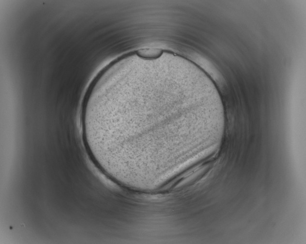 X0000111471084200908101110