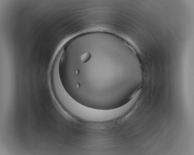 X0000111471086200908101110