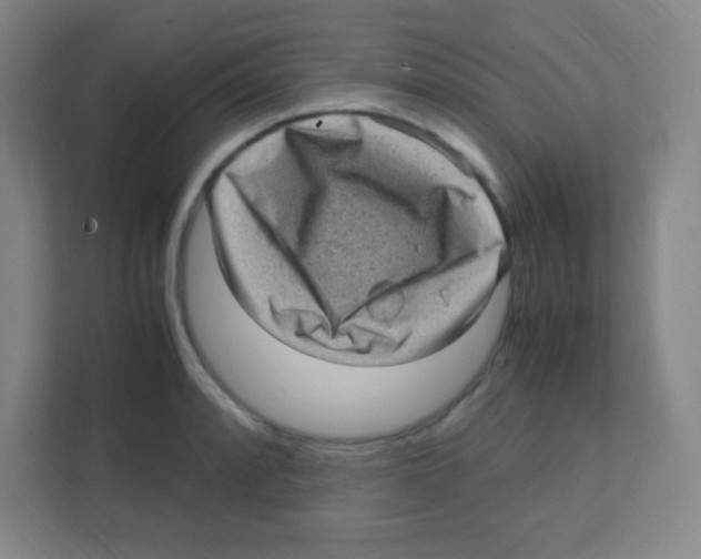 X0000111471088200908101110