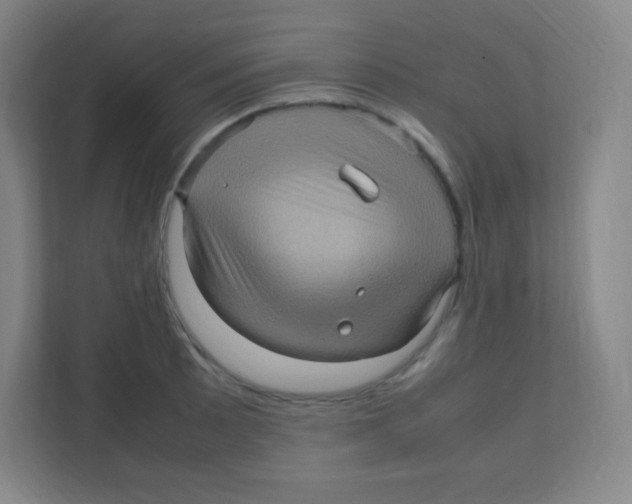 X0000111471089200908101110