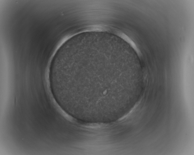 X0000111471091200908101110