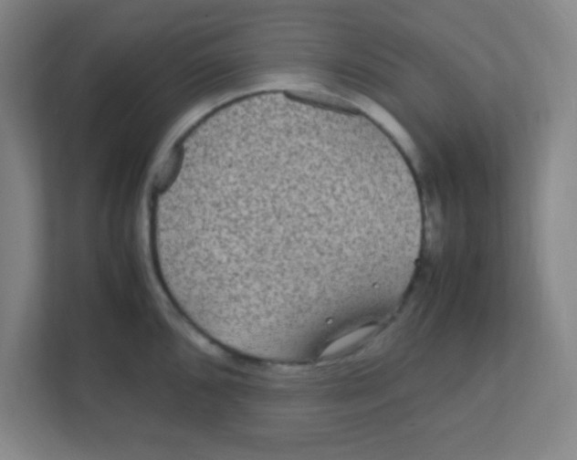 X0000111471096200908101110