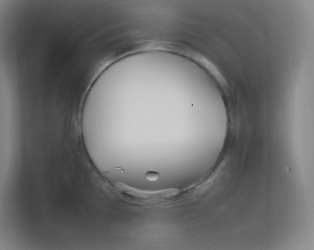 X0000111471097200908101110