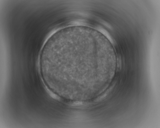 X0000111471098200908101110