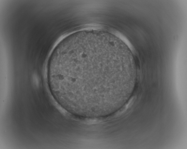 X0000111471099200908101110