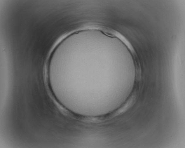 X0000111471101200908101109