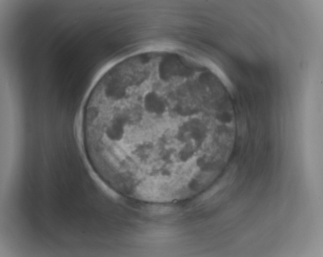 X0000111471103200908101109