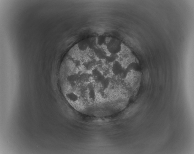 X0000111471105200908101109