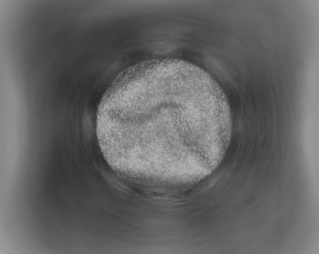 X0000111471106200908101109