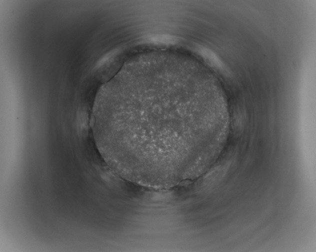 X0000111471110200908101109