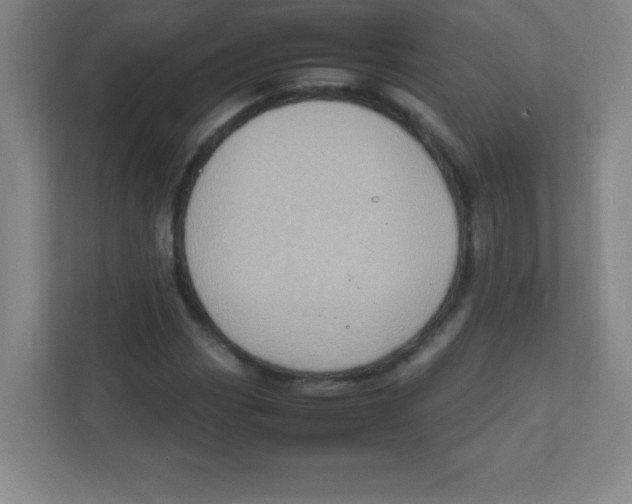 X0000111471113200908101109