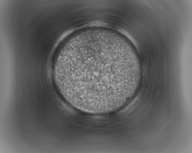 X0000111471115200908101109