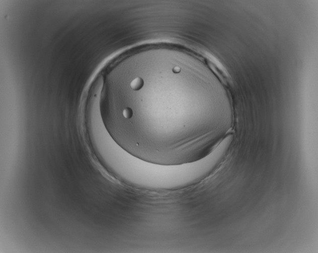 X0000111471116200908101109