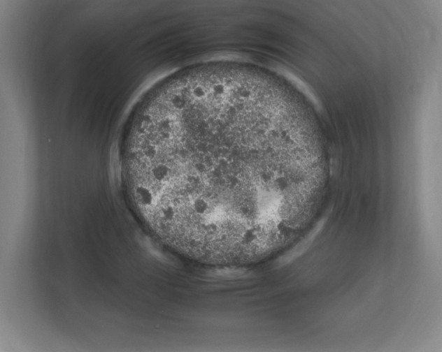 X0000111471117200908101109