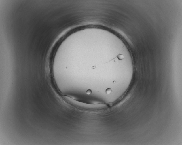 X0000111471118200908101109