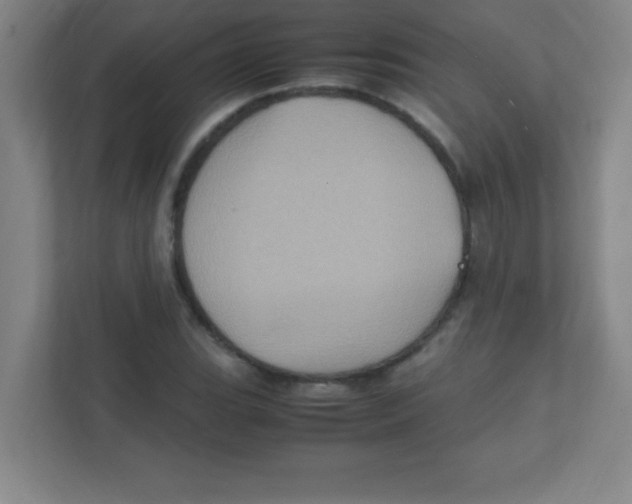 X0000111471119200908101109