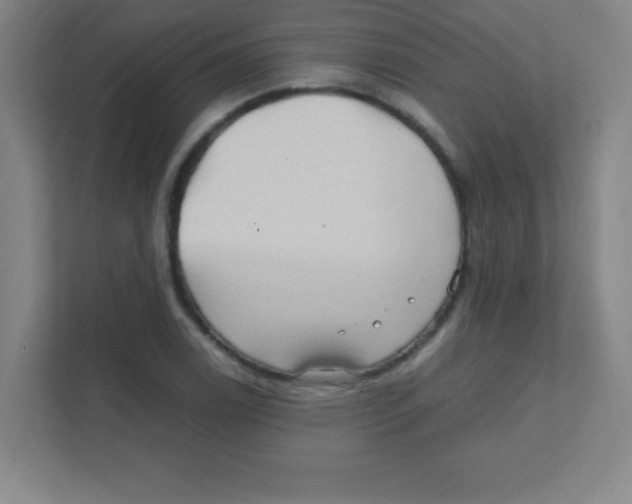 X0000111471122200908101109