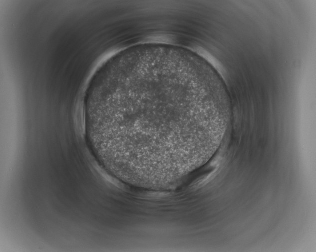 X0000111471123200908101109