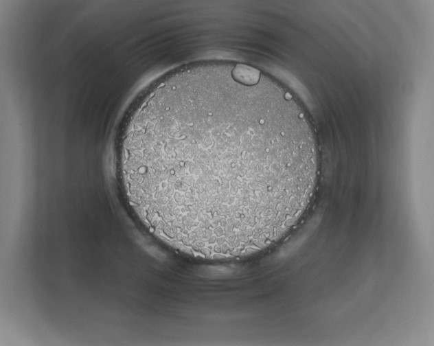 X0000111471125200908101109