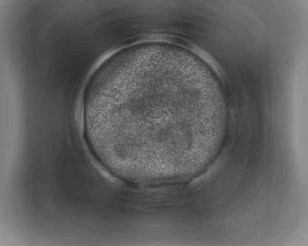 X0000111471127200908101109