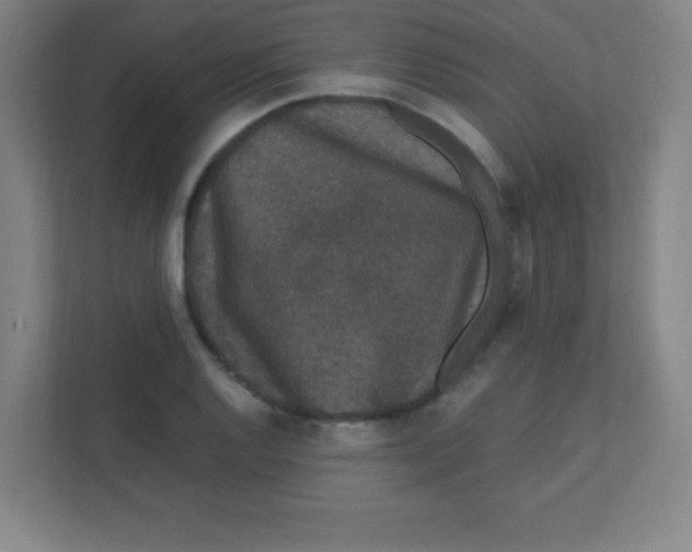 X0000111471128200908101109