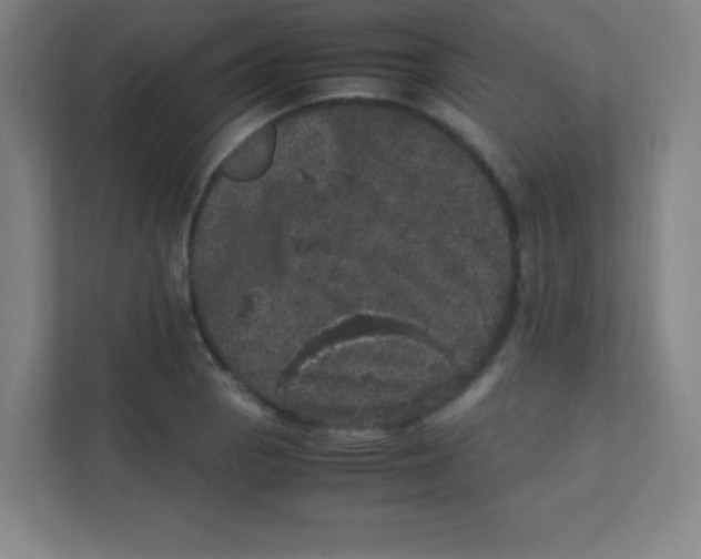 X0000111471129200908101109