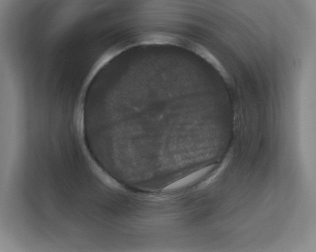 X0000111471130200908101109