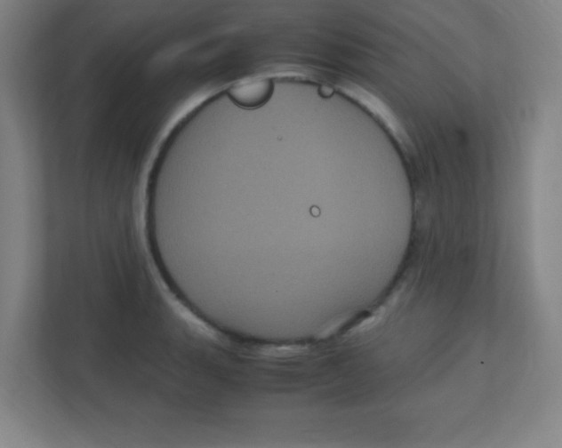 X0000111471135200908101109