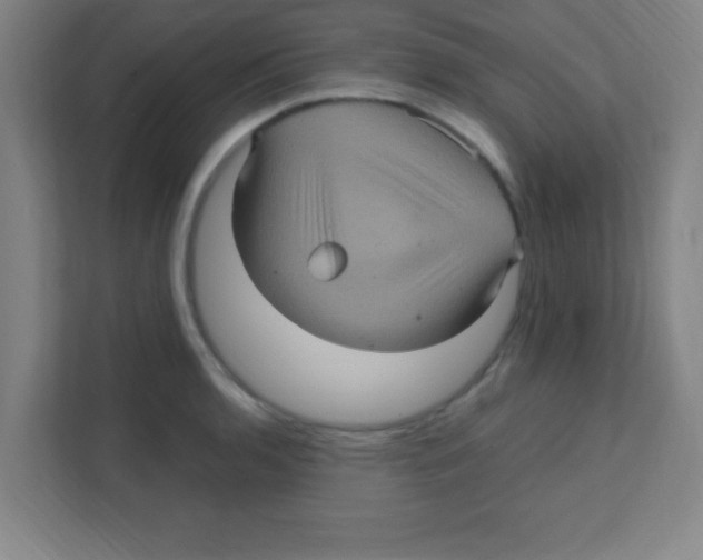 X0000111471136200908101109